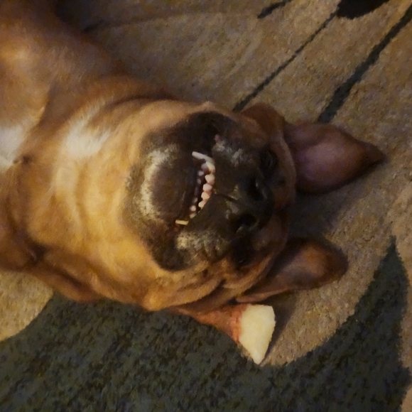 Meet your Posher, Marybeth - Picture 5 of 10